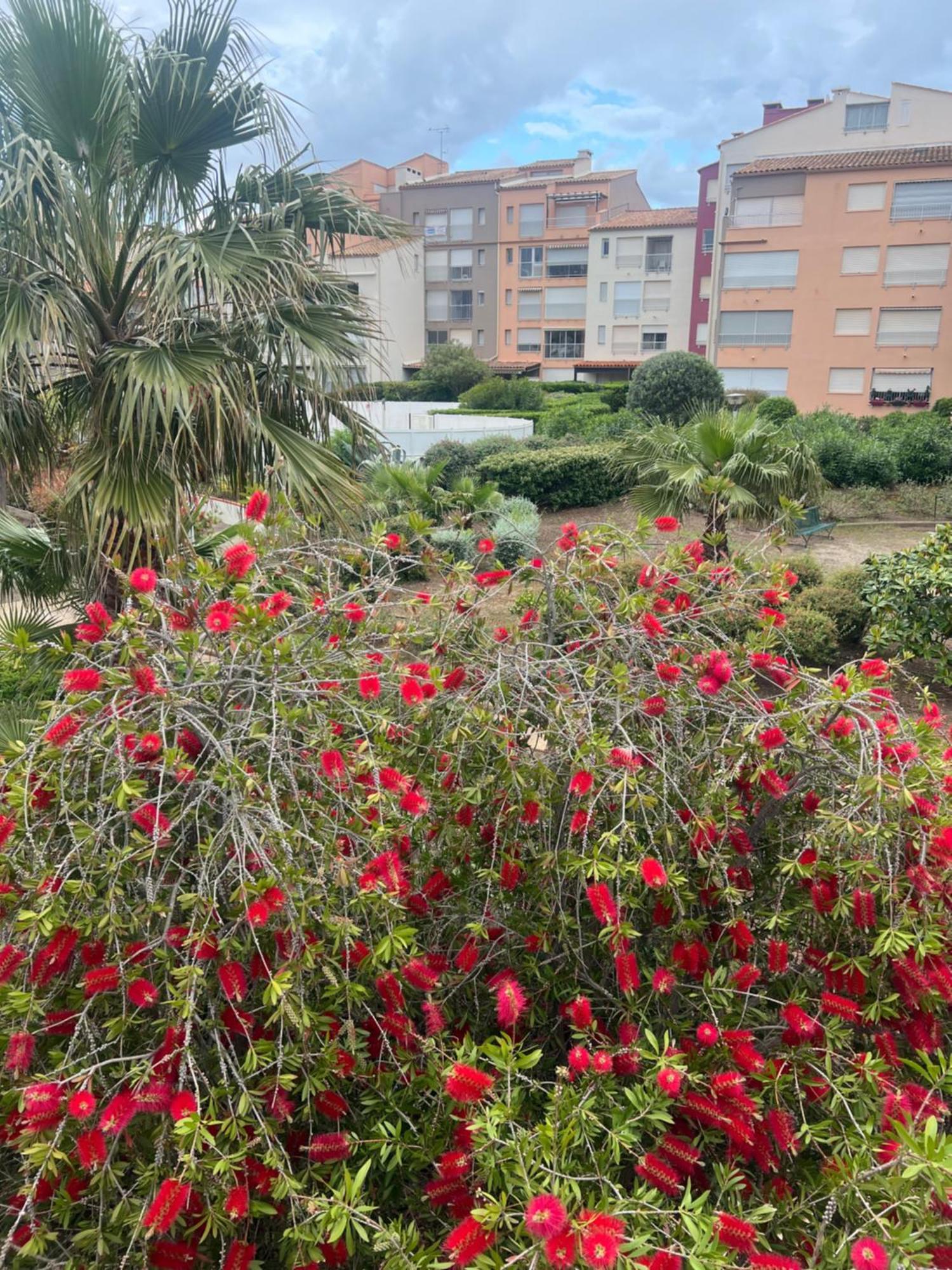 Residence Le Pharo آجد المظهر الخارجي الصورة